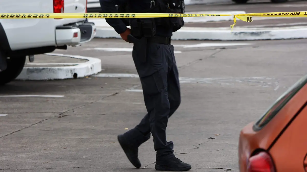 policiaca (2)